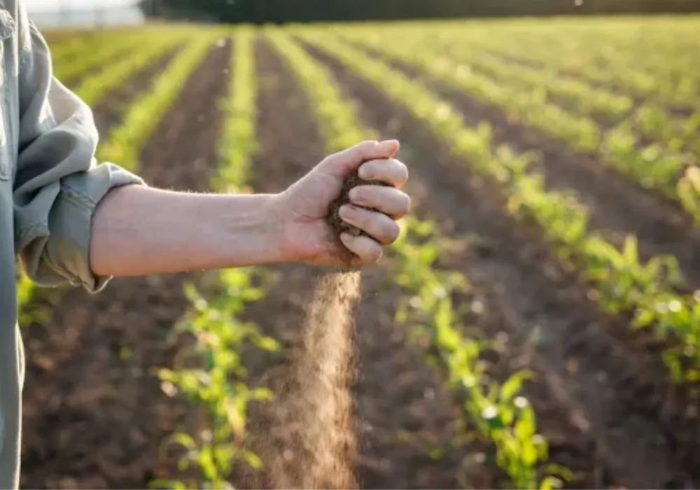 Aplicativos que todo agricultor precisa ter